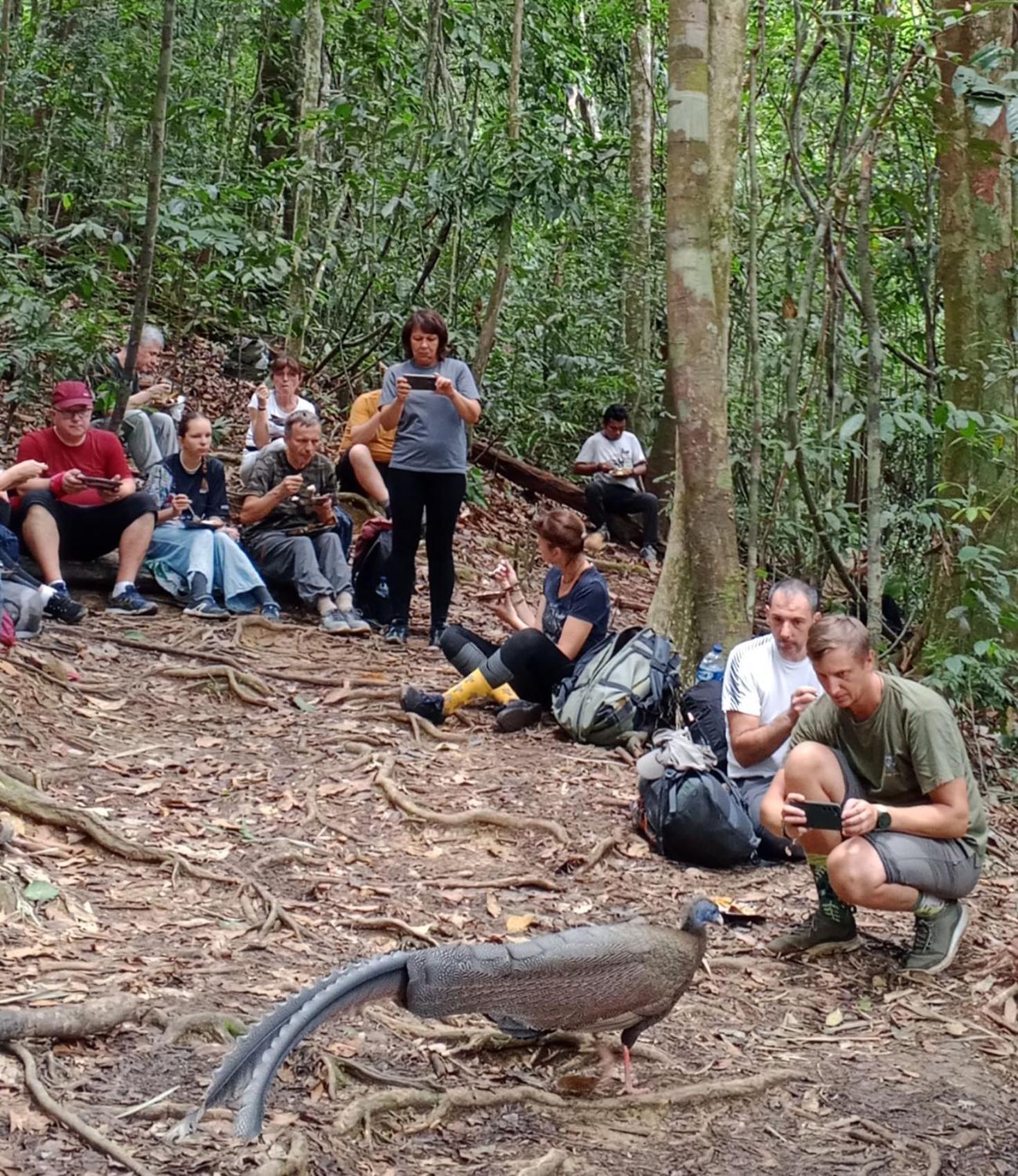 Sama Sama Homestay & Trekking Only Stay Here Book Trekking And Transport With Us Bukit Lawang Dış mekan fotoğraf