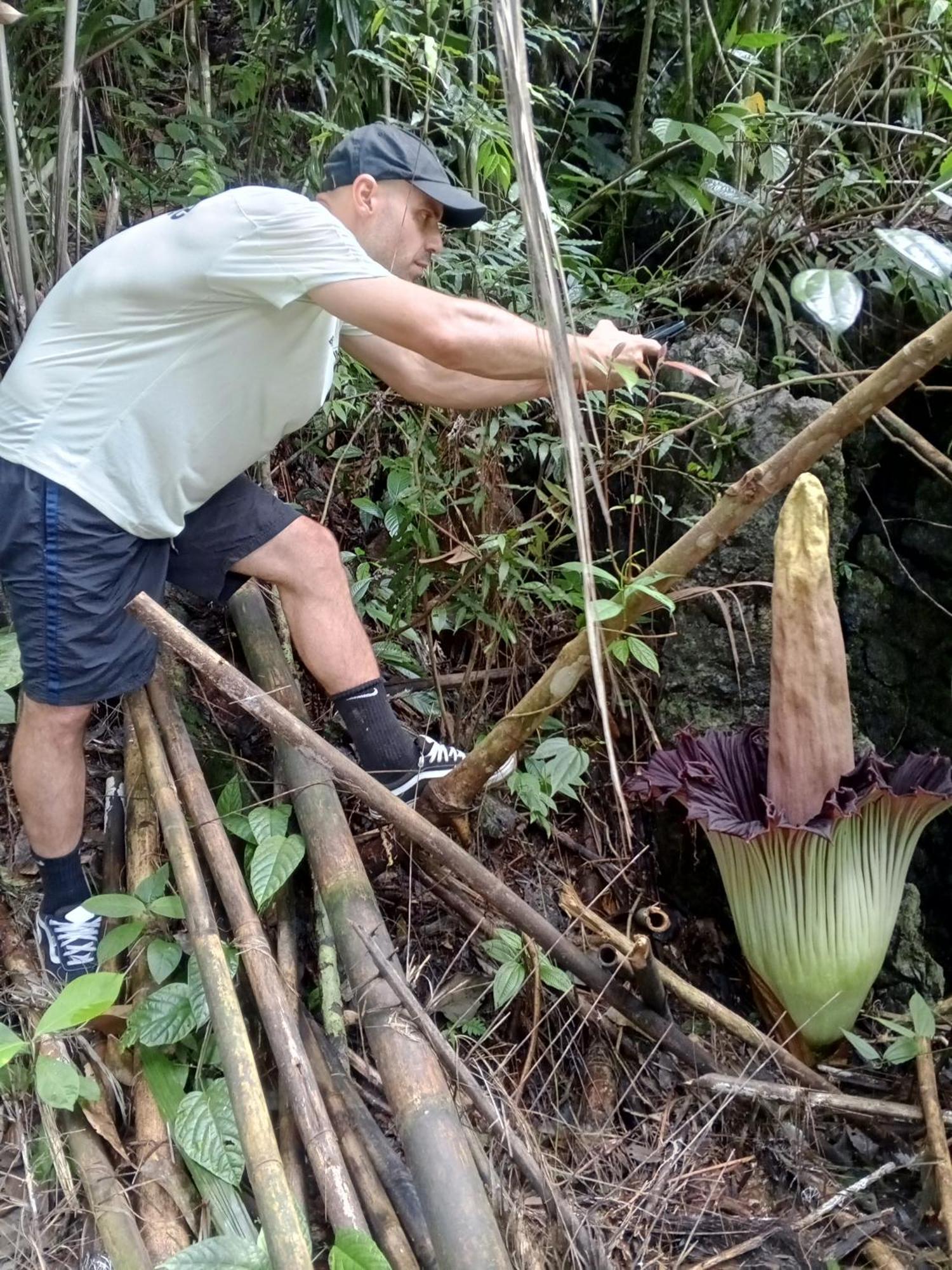 Sama Sama Homestay & Trekking Only Stay Here Book Trekking And Transport With Us Bukit Lawang Dış mekan fotoğraf
