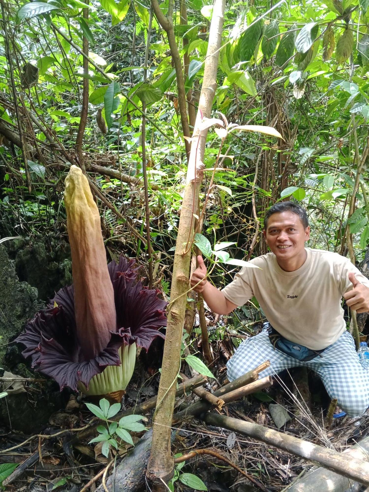 Sama Sama Homestay & Trekking Only Stay Here Book Trekking And Transport With Us Bukit Lawang Dış mekan fotoğraf