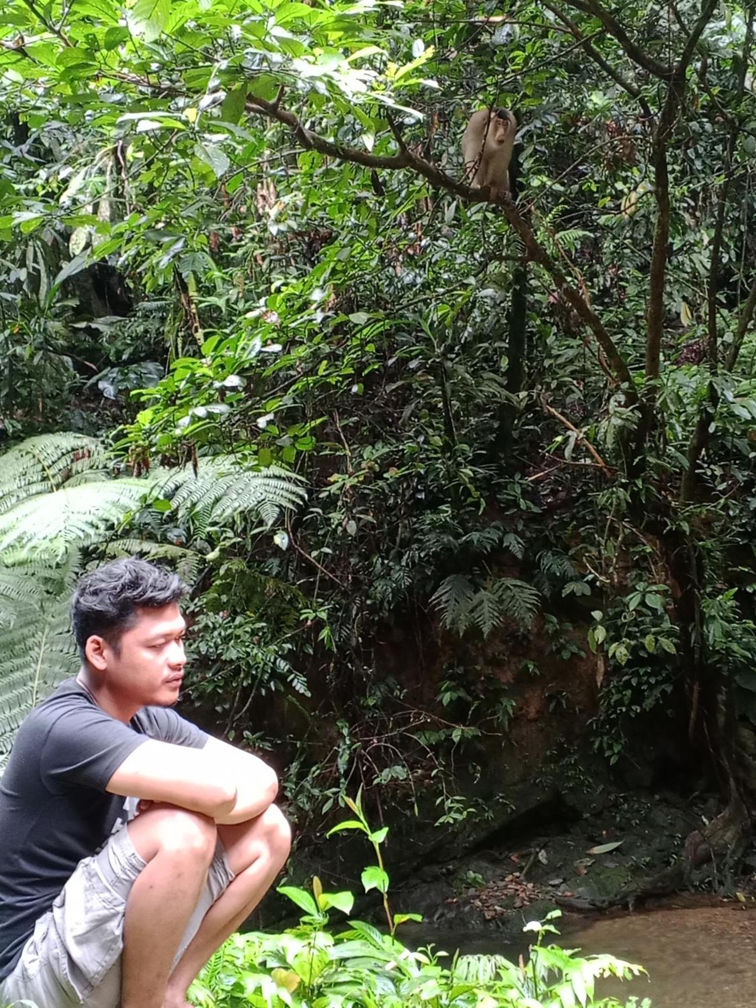 Sama Sama Homestay & Trekking Only Stay Here Book Trekking And Transport With Us Bukit Lawang Dış mekan fotoğraf
