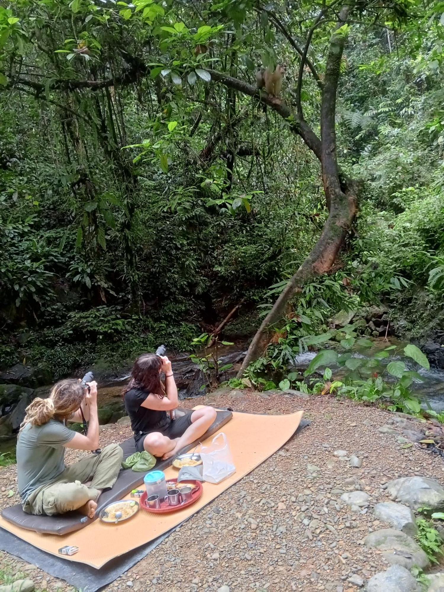Sama Sama Homestay & Trekking Only Stay Here Book Trekking And Transport With Us Bukit Lawang Dış mekan fotoğraf